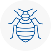 Bed Bug Extermination In East Sussex